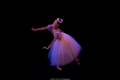ballet romantique (13)